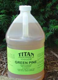 Photo of Green Pine